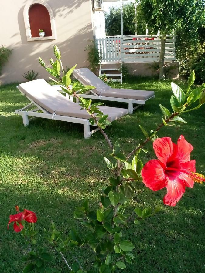 Vasiliki Appartamento