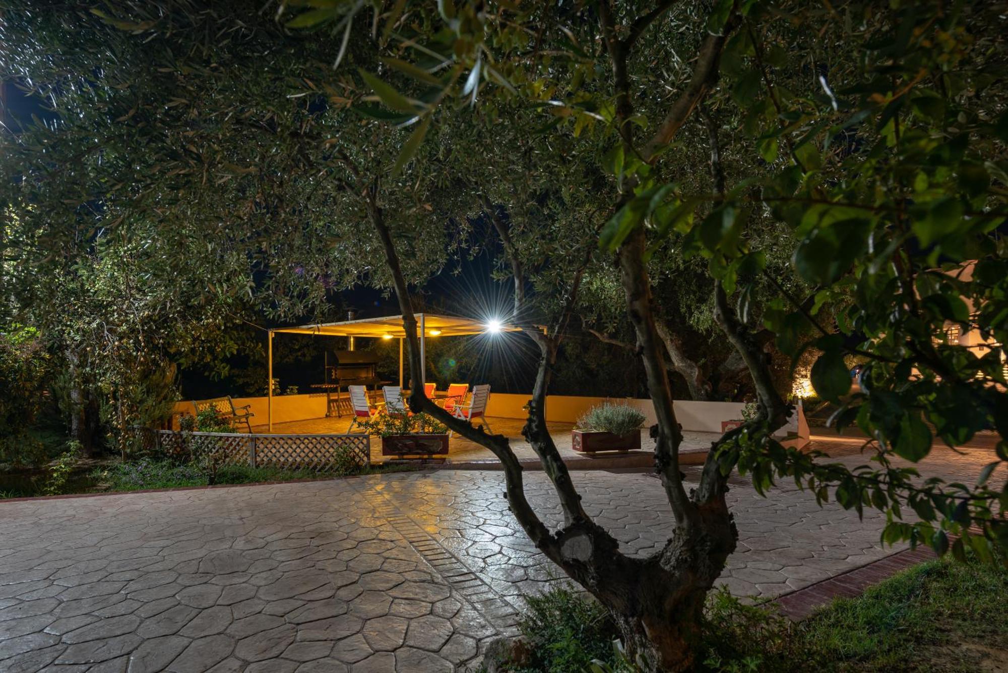 Vasiliki