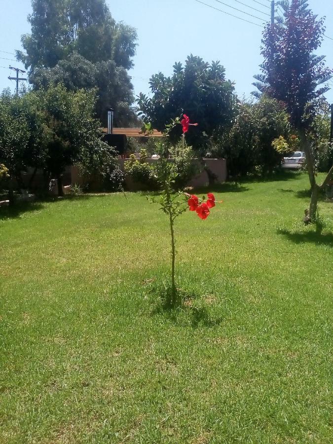Vasiliki