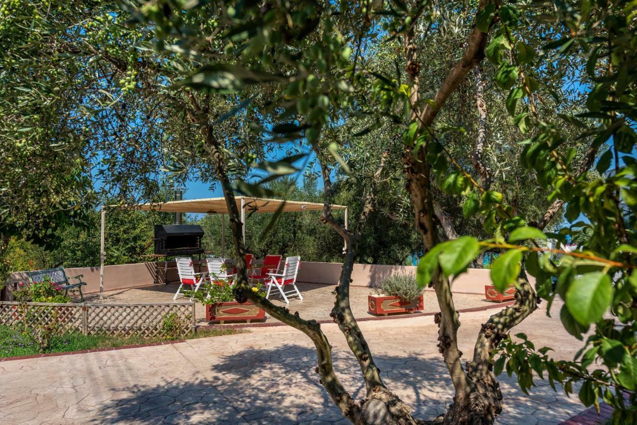 Vasiliki Apartment Tragaki